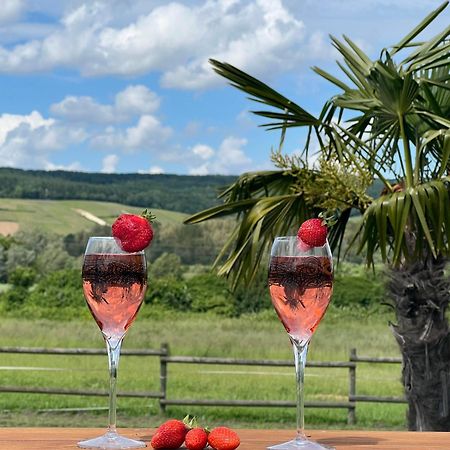 Domaine-De-La-Borde A Epernay Panzió Mardeuil Kültér fotó
