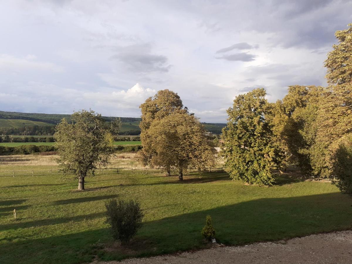 Domaine-De-La-Borde A Epernay Panzió Mardeuil Kültér fotó