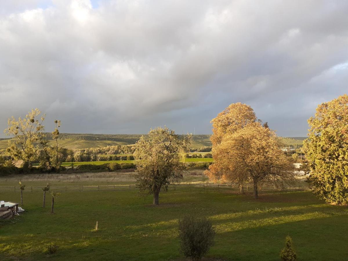 Domaine-De-La-Borde A Epernay Panzió Mardeuil Kültér fotó