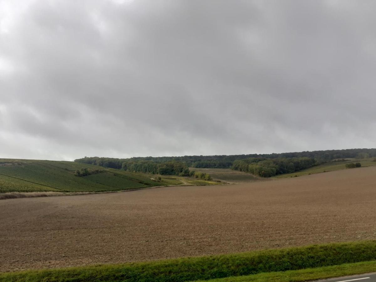 Domaine-De-La-Borde A Epernay Panzió Mardeuil Kültér fotó