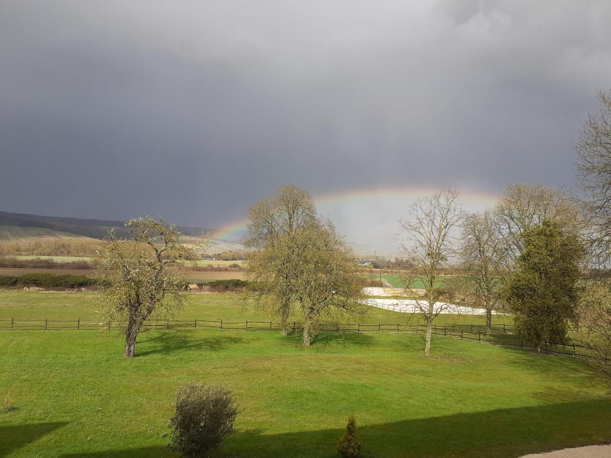 Domaine-De-La-Borde A Epernay Panzió Mardeuil Kültér fotó